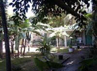 View of the Hotel ROCKY S ROCK AND BLUES - Sosua - Dominican Republic